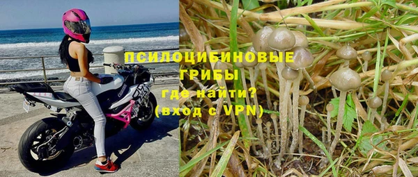 ALPHA-PVP Пестово