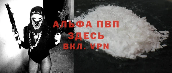 крисы Болотное