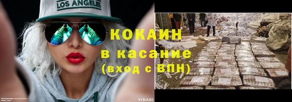 крисы Болотное