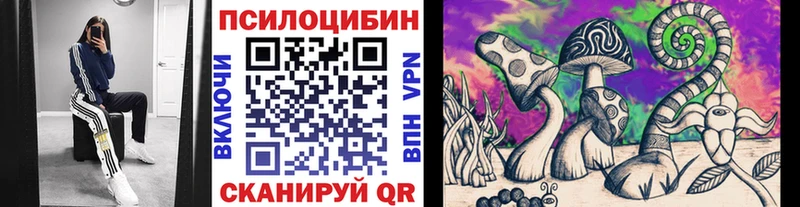 Псилоцибиновые грибы Cubensis  Багратионовск 